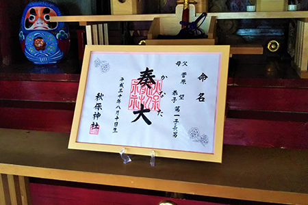 命名